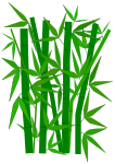 Bamboo graphic